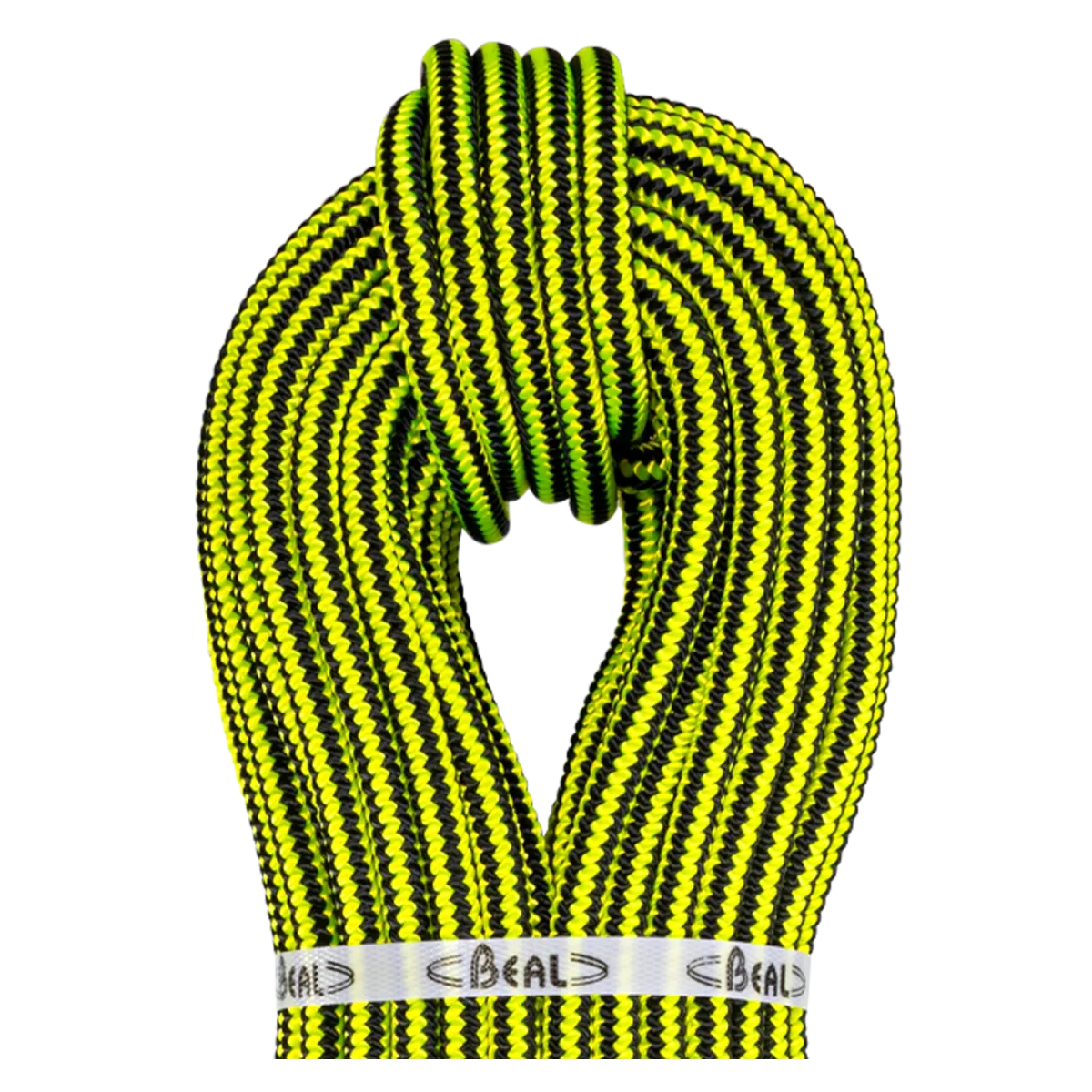 GINKGO 12MM – Image 2