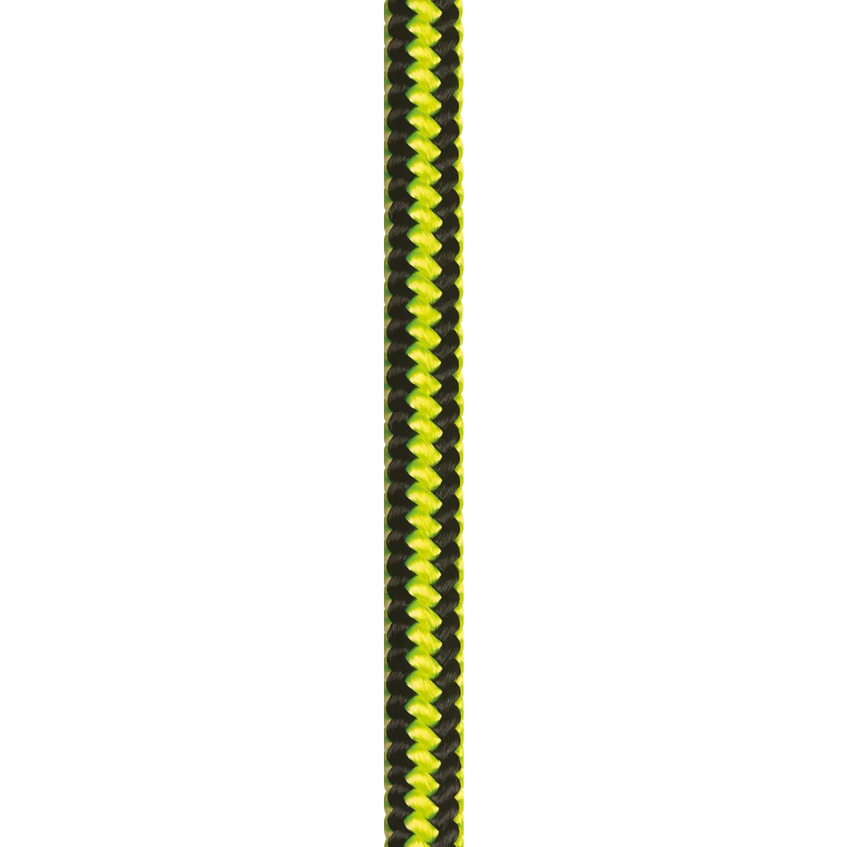 GINKGO 12MM – Image 3