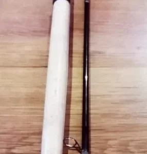 Canne Abu AGENDA AES100-3M 1002MH Spinning 20-50g